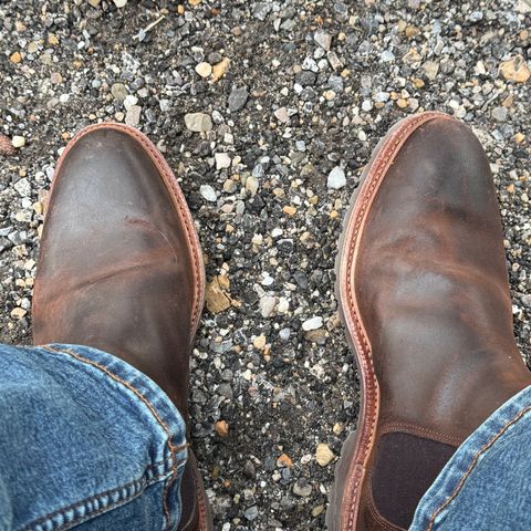 Meermin Chelsea Boot in C.F. Stead Rust Waxy Commander Suede