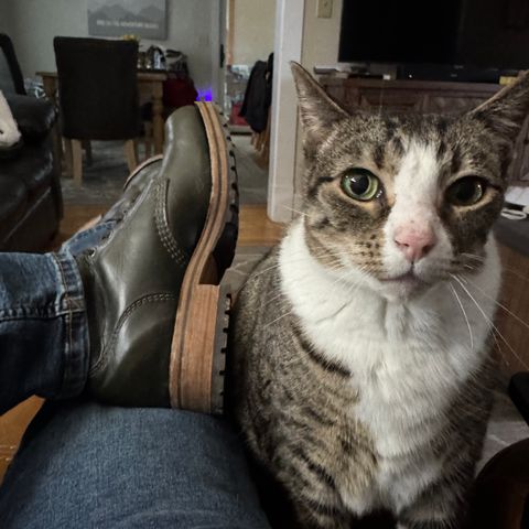 GORAL Buxton Brass Wire Construction Boot in Horween Chromexcel Forest Green