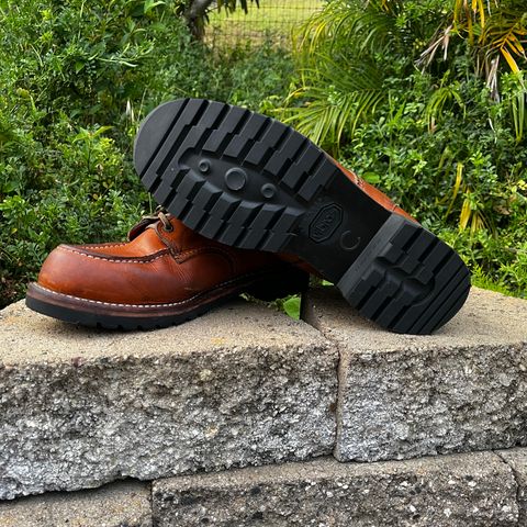 Red Wing 6-Inch Classic Moc in S.B. Foot Oro-Iginal