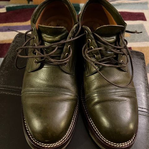 Jakkrabbits Derby Shoes in Badalassi Carlo Oliva Minerva