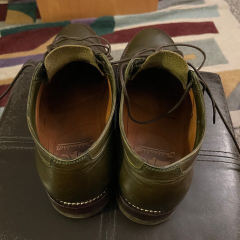 Jakkrabbits Derby Shoes in Badalassi Carlo Oliva Minerva