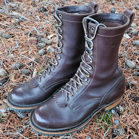 View photo of Drew's Boots 10-inch Logger in Brown Smooth