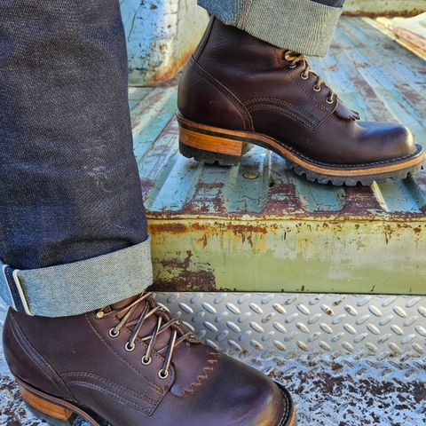 View photo of Drew's Boots 10-inch Logger in Brown Smooth