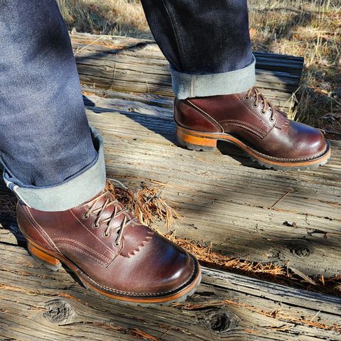 View photo of Drew's Boots 10-inch Logger in Brown Smooth