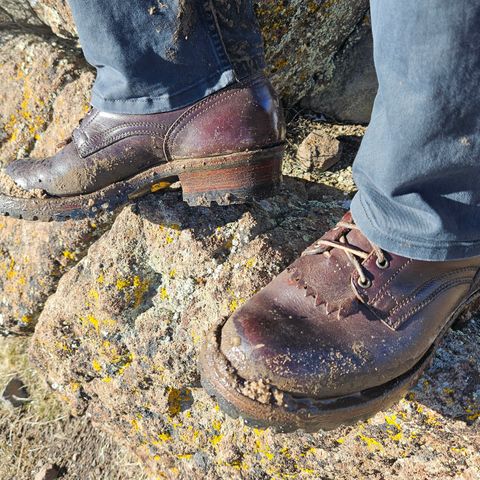 Drew's 10-inch Logger in Brown Smooth