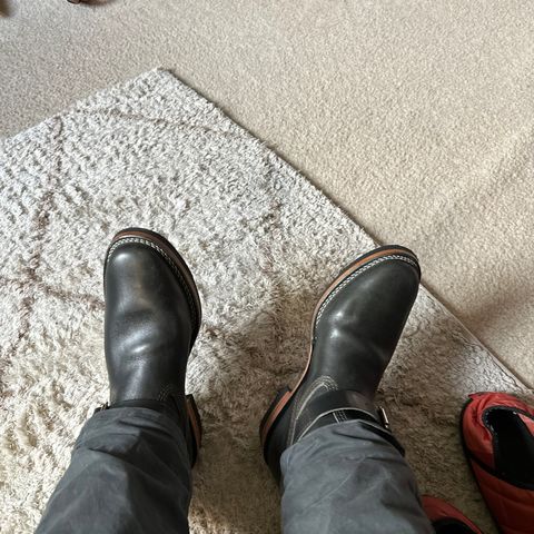 Wesco Mister Lou in Maryam Petrolio Waxed Black Horsehide