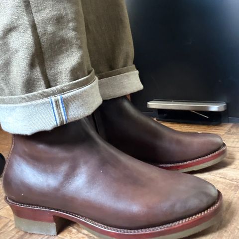 Fortis Antasena in Maryam Muschio TPR Horsebutt