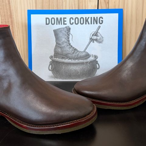 Fortis Antasena in Maryam Muschio TPR Horsebutt