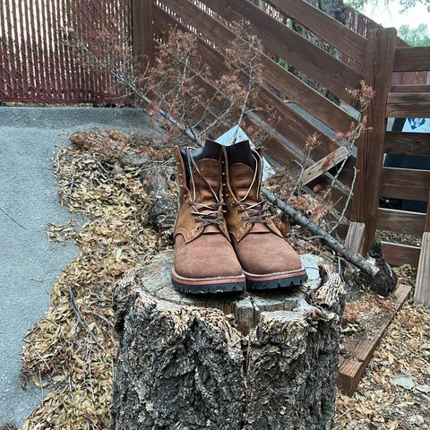 Nicks Lace Up Heritage in Seidel 1964 Monarch