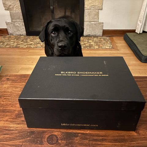 BLKBRD Rudiger Service Boot in Maryam Salvia Horsebutt