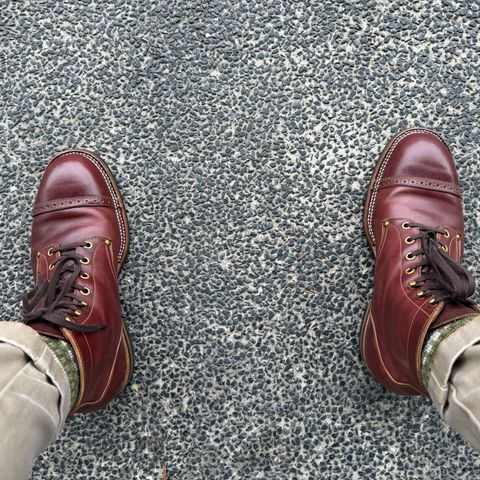 Iron Boots Devil Dog in Maryam Ruggine Shell Cordovan