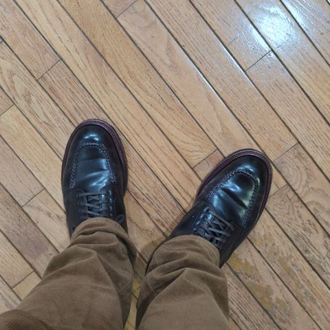 Alden Indy Boot in Horween Color 8 Shell Cordovan