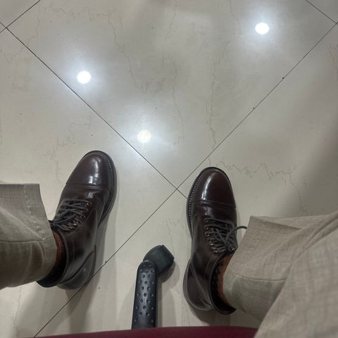 BLKBRD Luchador Custom in Horween Brown Chromexcel