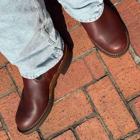 Wesco Romeo in Seidel Brown Domain