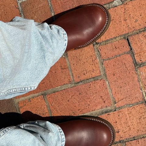 Wesco Romeo in Seidel Brown Domain