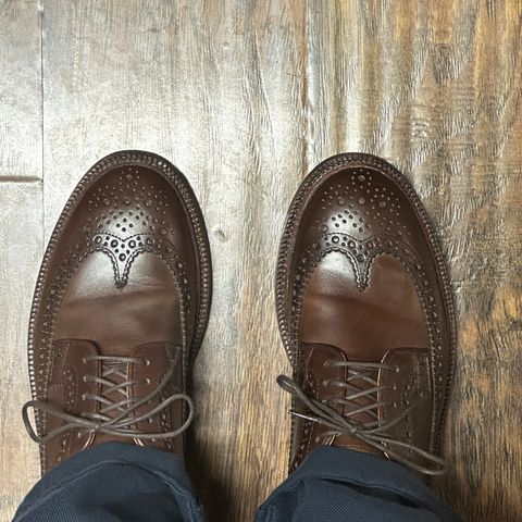 Grant Stone Longwing in Horween Crimson Chromexcel