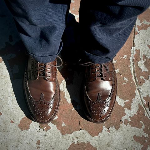 Grant Stone Longwing in Horween Crimson Chromexcel