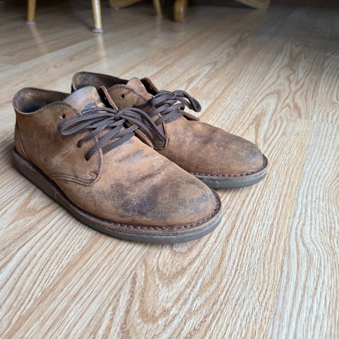 Jim Green Shoellie in Fudge Crazy Horse