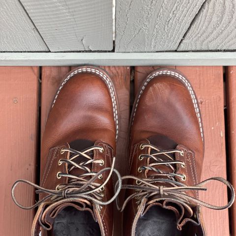 Nicks Lace Up Heritage in Italian Brown Cypress