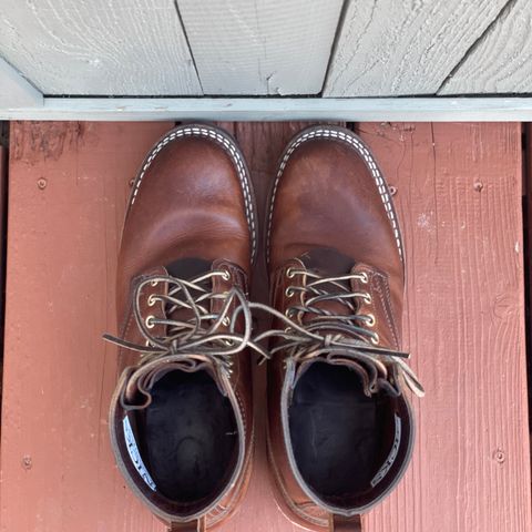 Nicks Lace Up Heritage in Italian Brown Cypress