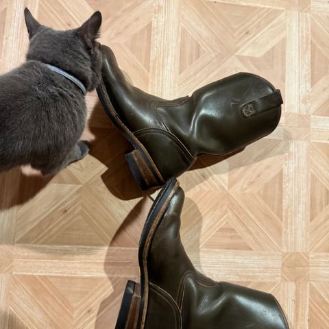 Wesco Morrison in Horween Green Chromexcel