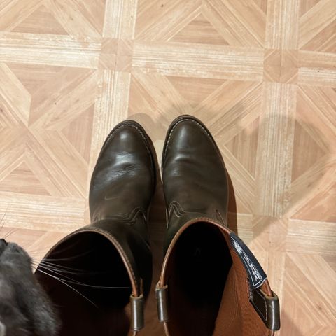 Wesco Morrison in Horween Green Chromexcel