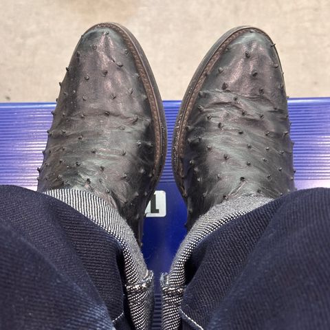 Chisos No. 1 OST in Full Quill Ostrich & Cowhide Shafts