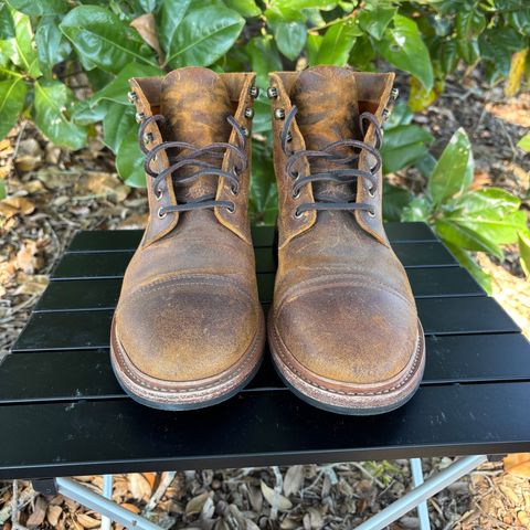 Parkhurst The Richmond in C.F. Stead Wheatbuck Waxy Commander Suede