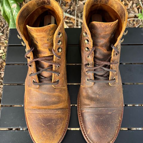 Parkhurst The Richmond in C.F. Stead Wheatbuck Waxy Commander Suede