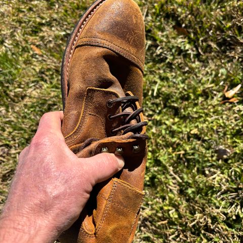 Parkhurst The Richmond in C.F. Stead Wheatbuck Waxy Commander Suede