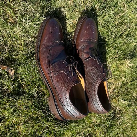 View photo of Johnston & Murphy Wingtip in Horween Football