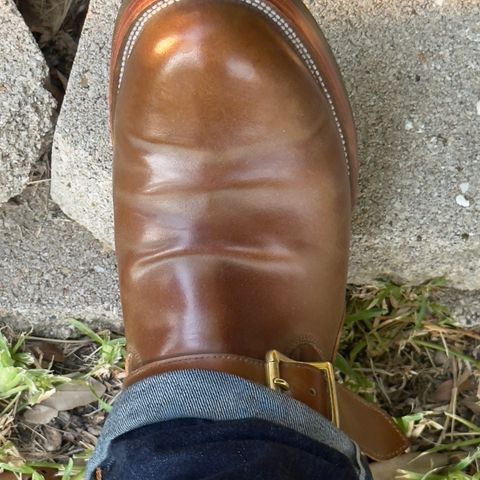 Renav ENG - 1506 in Shinki Whisky Shell Cordovan