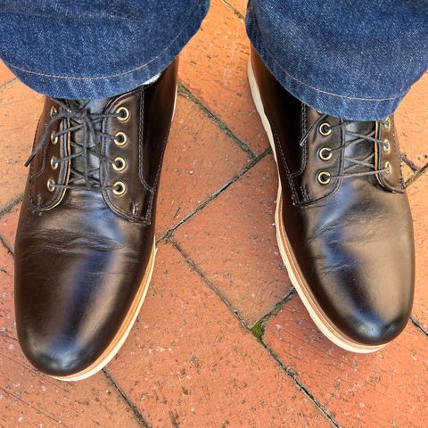 Rancourt & Co. Dirigo Derby in Black