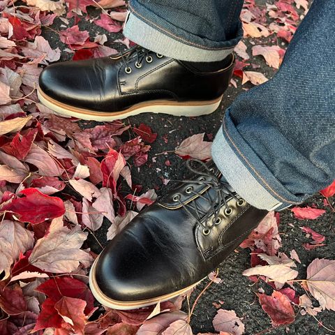Rancourt & Co. Dirigo Derby in Horween Black Chromexcel
