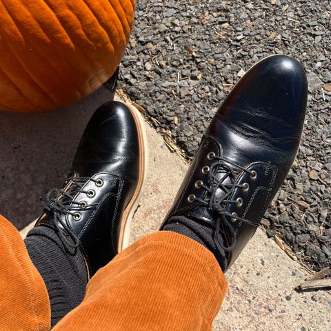 Rancourt & Co. Dirigo Derby in Horween Black Chromexcel