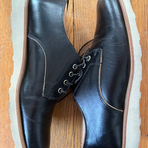 Rancourt & Co. Dirigo Derby in Black