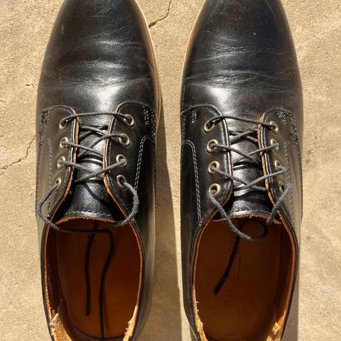Rancourt & Co. Dirigo Derby in Black