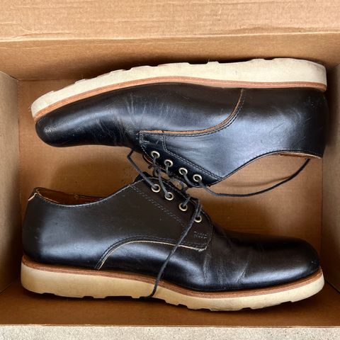 Rancourt & Co. Dirigo Derby in Black
