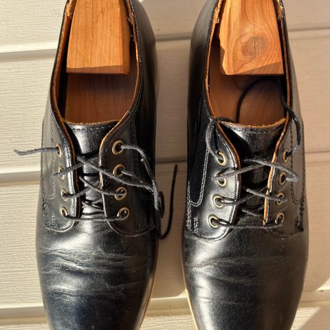 Rancourt & Co. Dirigo Derby in Black