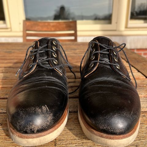Rancourt & Co. Dirigo Derby in Black