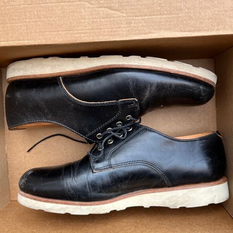 Rancourt & Co. Dirigo Derby in Black