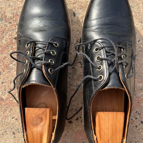 Rancourt & Co. Dirigo Derby in Black