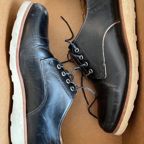 Rancourt & Co. Dirigo Derby in Black