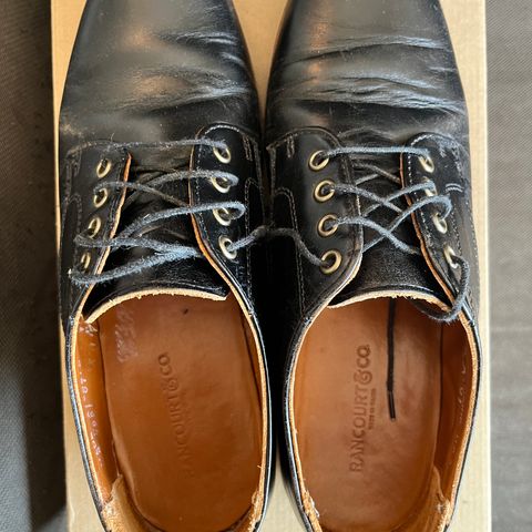 Rancourt & Co. Dirigo Derby in Black