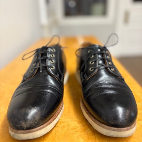 Rancourt & Co. Dirigo Derby in Black