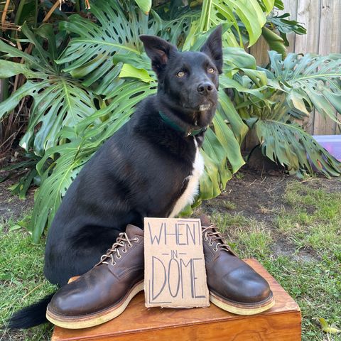 Viberg 145 Oxford in C.F. Stead Zulu Waxed Kudu