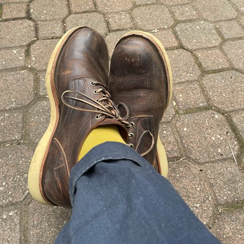 Viberg 145 Oxford in C.F. Stead Zulu Waxed Kudu