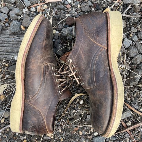 Viberg 145 Oxford in C.F. Stead Zulu Waxed Kudu