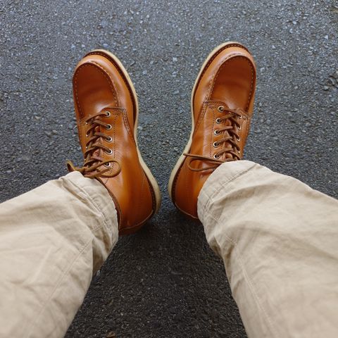 Red Wing 6-Inch Classic Moc in S.B. Foot Sequoia Gold Russet