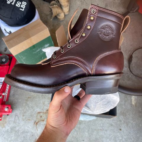 Frank's Wilshire in Seidel Brown Double Shot